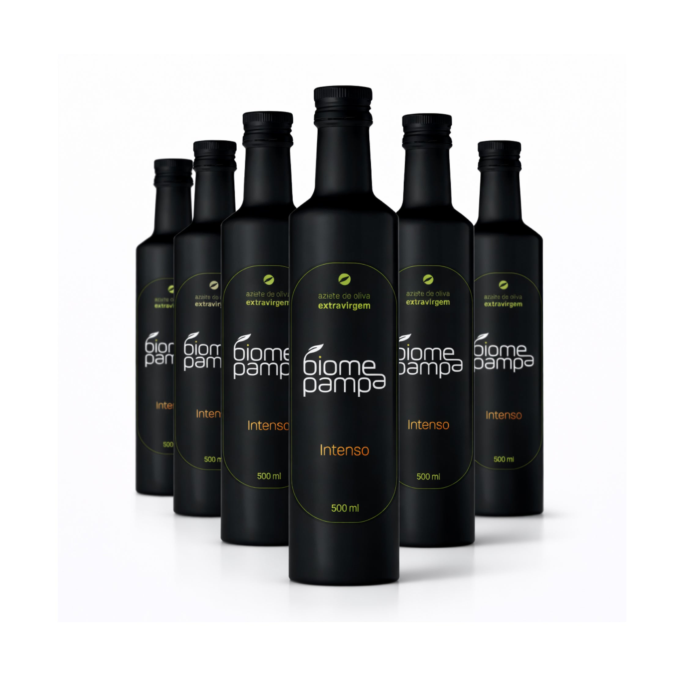 Caixa Biome Pampa Intenso - 6un