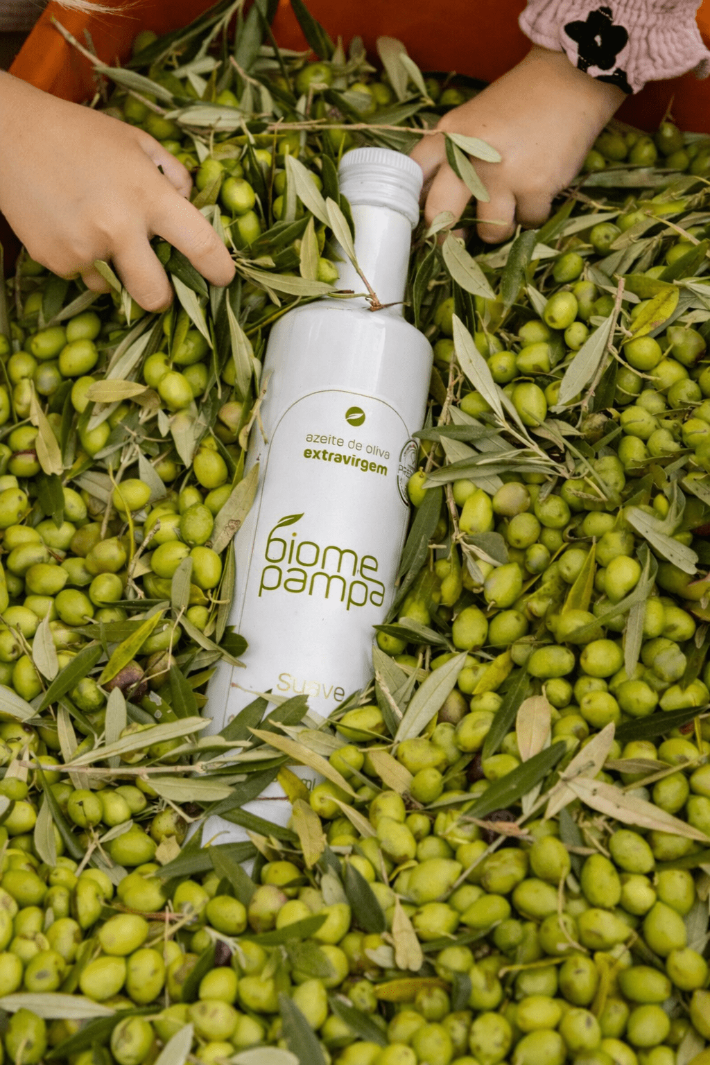 Biome Pampa Suave - Biome Pampa